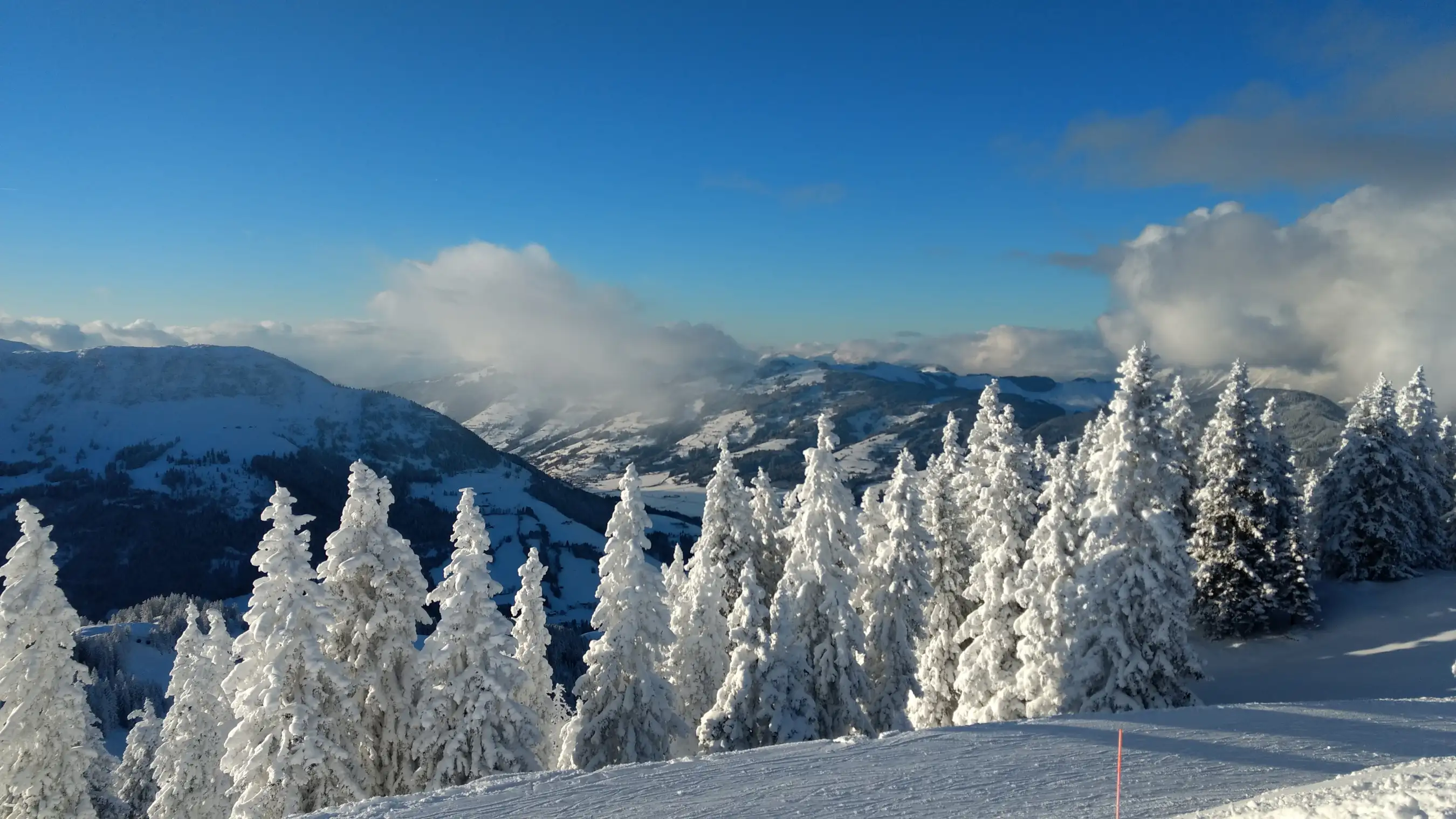 Abschied von Lilo Pfeffer 